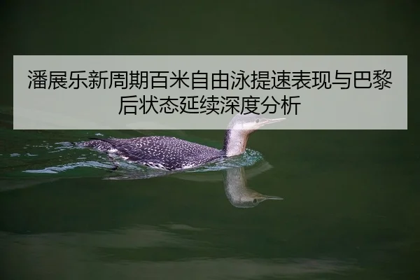 潘展乐新周期百米自由泳提速表现与巴黎后状态延续深度分析